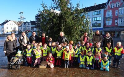 Weihnachtsbäume gesucht: Spender für Aplerbecker Marktplatzbaum und Schloß Rodenberg gesucht